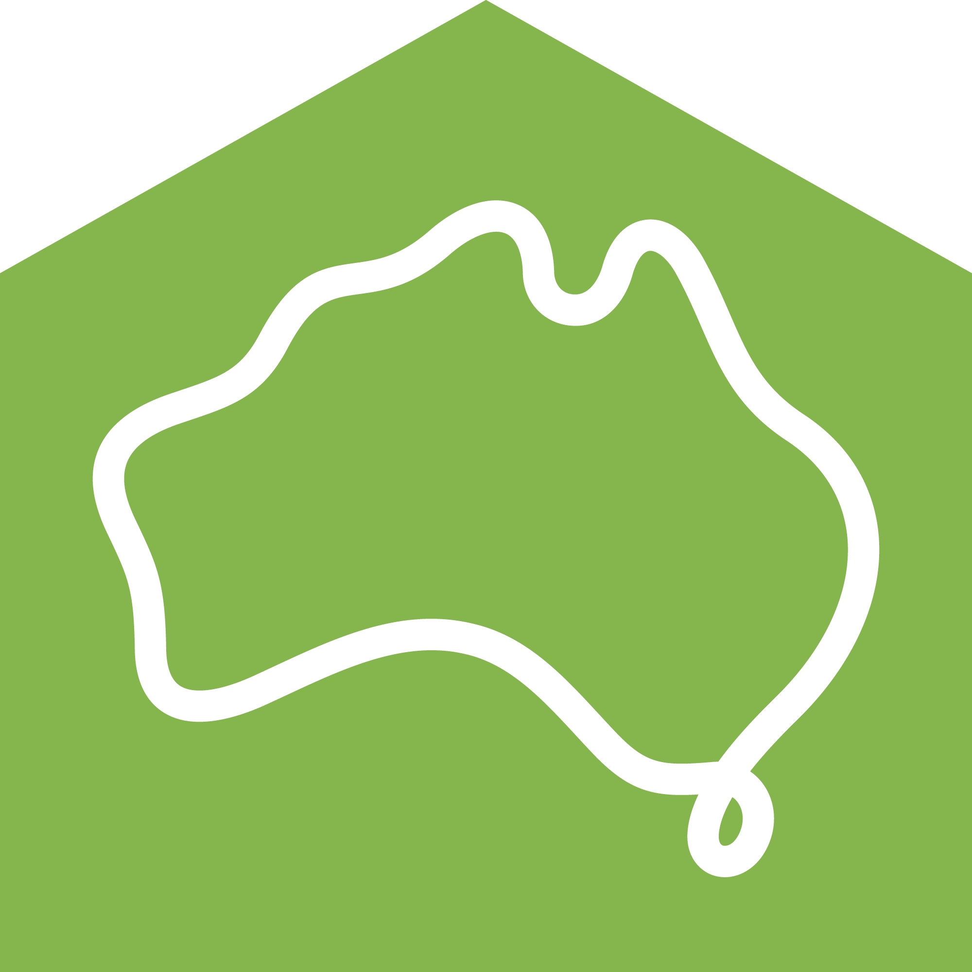 Soapnut Republic