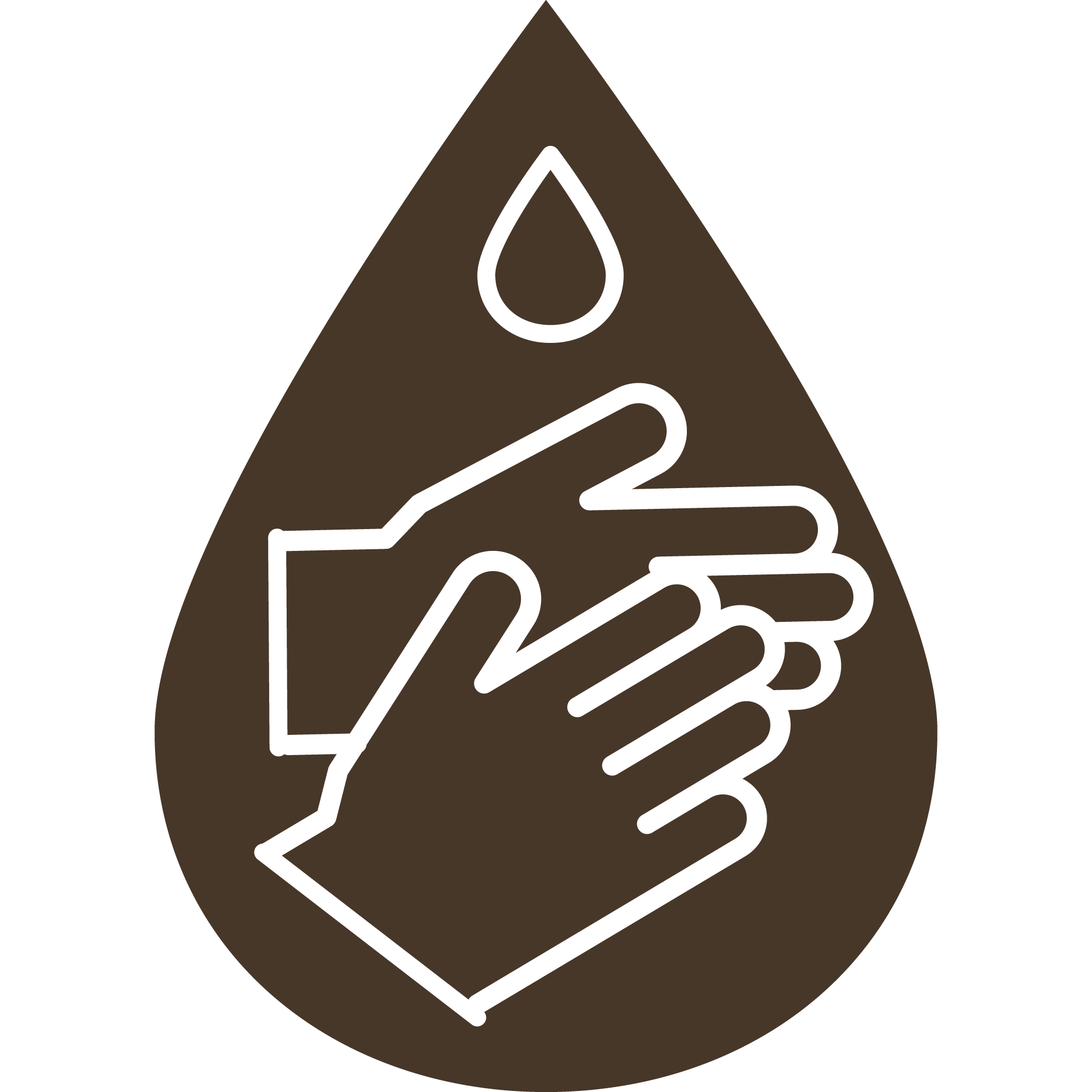 Soapnut Republic