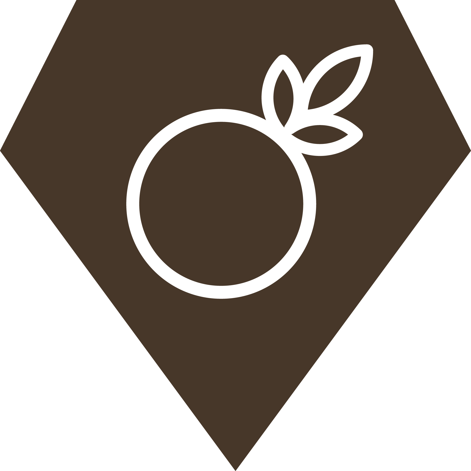 Soapnut Republic