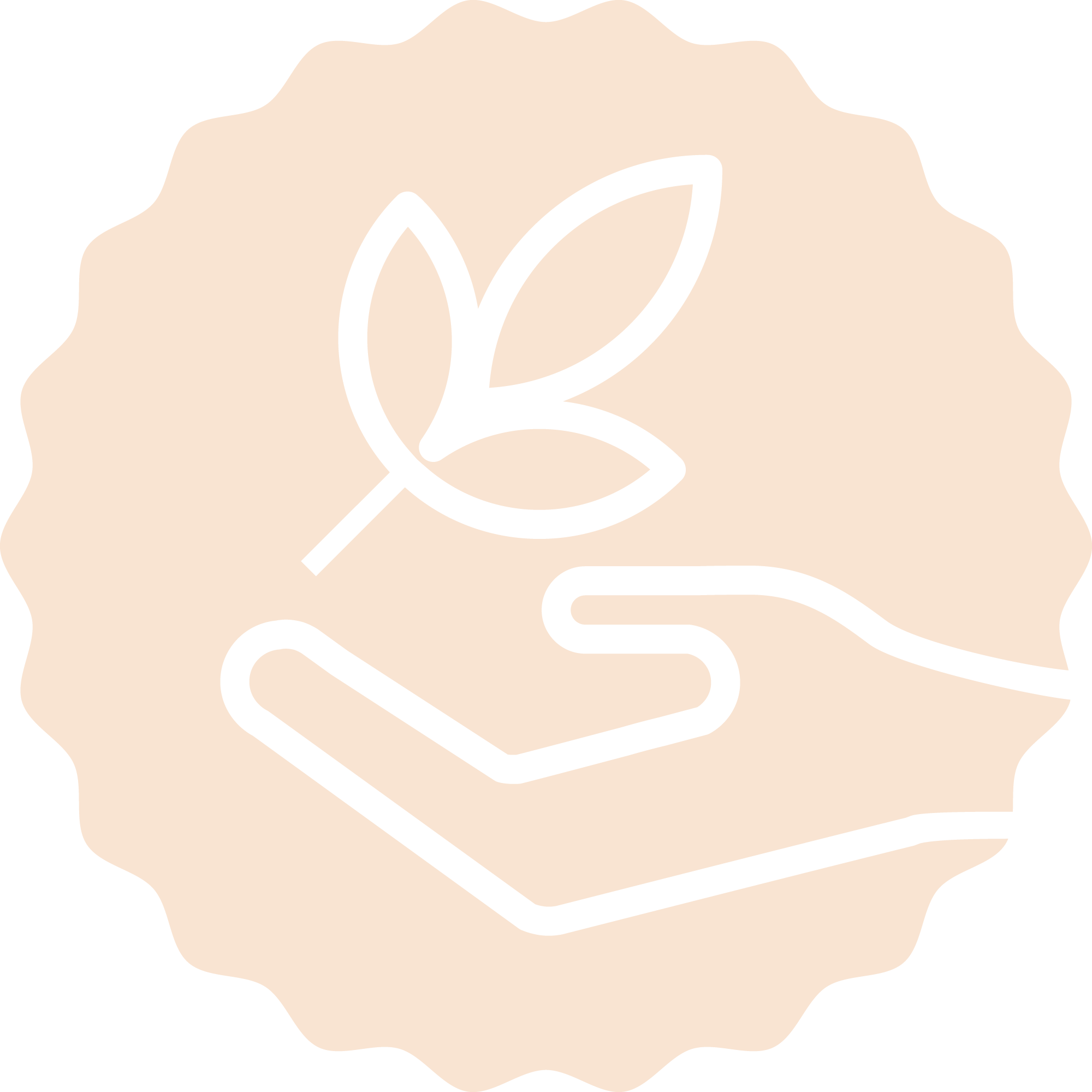 Soapnut Republic