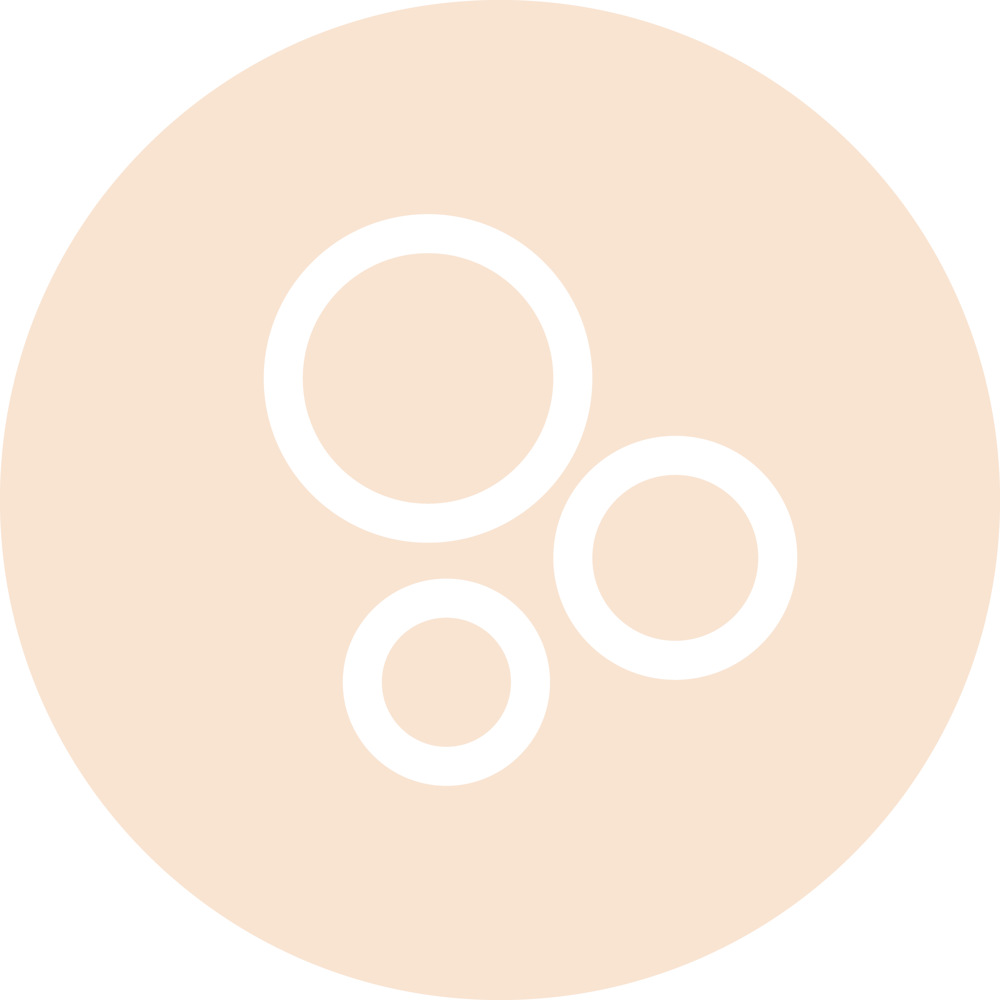 Soapnut Republic
